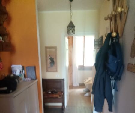 2 - foto 4