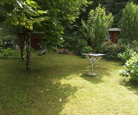 2 - foto 12