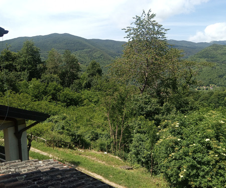 2 - foto 14