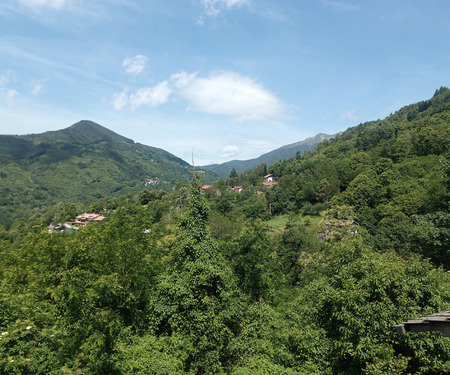 2 - foto 15