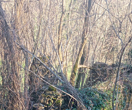 -45 - foto 7