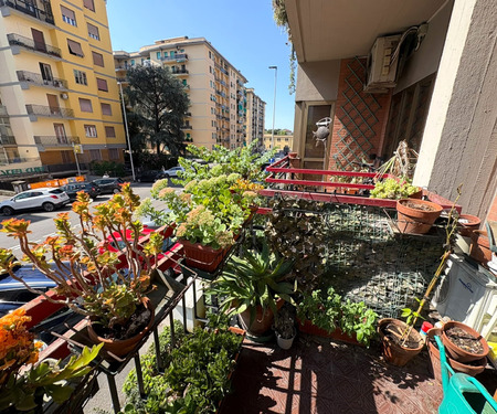 1 - foto 7