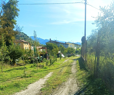 -1 - foto 2